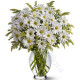 Bouquet di Margherite bianche
