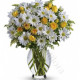 Bouquet di Margherite e Roselline gialle