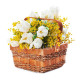Cesto di Tulipani bianchi con Mimosa